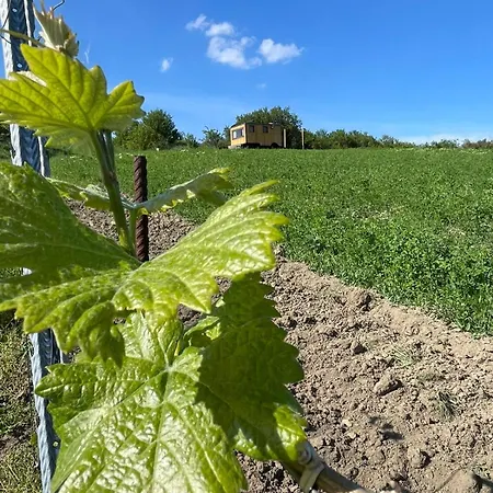 Kemp Maringotka Vývrtka Velké Bílovice